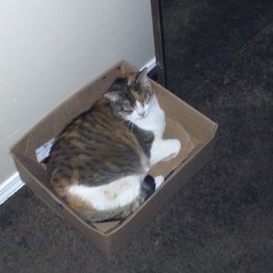 Meet your Posher, Gerald